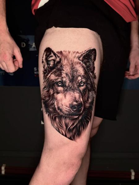 Realism wolf portrait tattoo by @jim.tat
