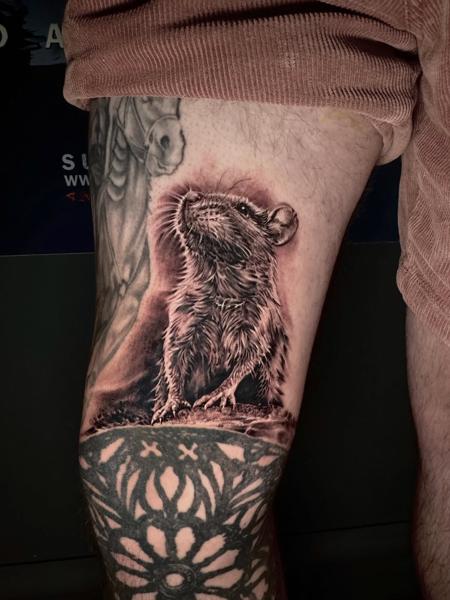 Realism realistic rat tattoo by @jim.tat