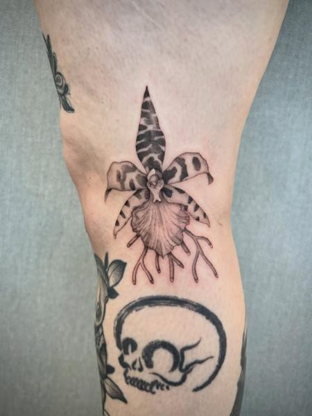 Illustrative rooted orchid tattoo by @karolina_tattooer