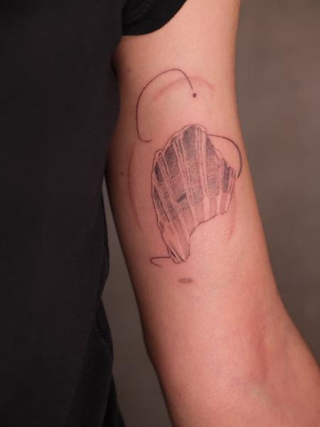 Fine line abstract seashell tattoo by @karolina_tattooer