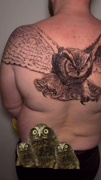 Realism flying owl tattoo by @korneltattoo