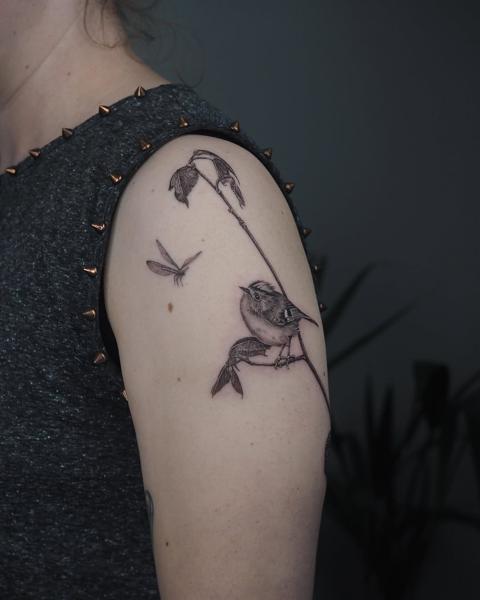 Fine line bird on branch tattoo by @lionoflauratattoos