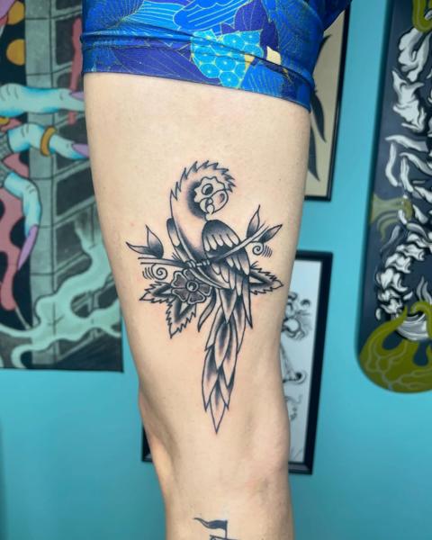 Traditional parrot tattoo by @no.karate.in.the.pit