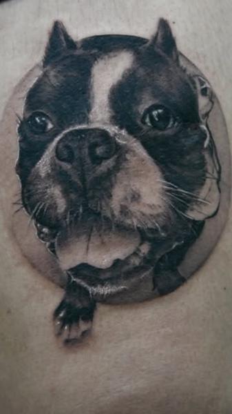 Realism dog portrait tattoo by @ladylia_art
