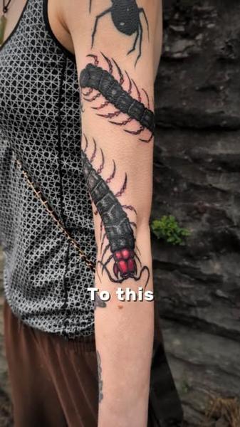 Illustrative creepy centipedes tattoo by @lorr.ink