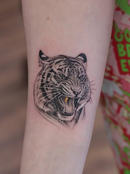 Realism roaring tiger tattoo by @lozzarachtattooer