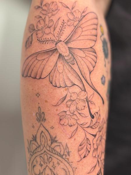 Fine line floral moth tattoo by @lucie.tattoo