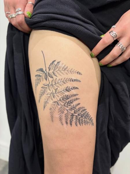 Fine line fern leaf tattoo by @lucie.tattoo