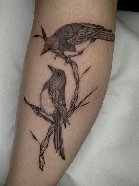 Illustrative perched birds tattoo by @lucky_lou_tattoos