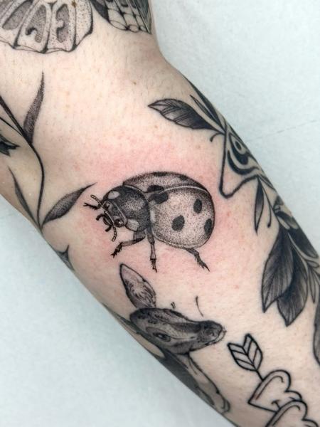 Illustrative blackwork stippled ladybug tattoo by @lucky_lou_tattoos