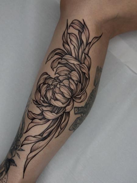 Illustrative blackwork chrysanthemum flower tattoo by @lucky_lou_tattoos