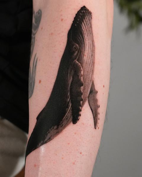 Realism humpback whale tattoo by @magetower.tattoo