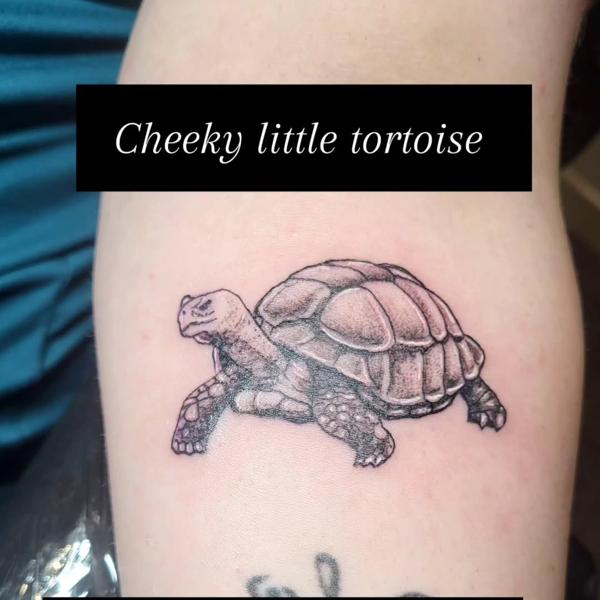Realism tortoise tattoo by @blood_sweat_and_tears_tattoo