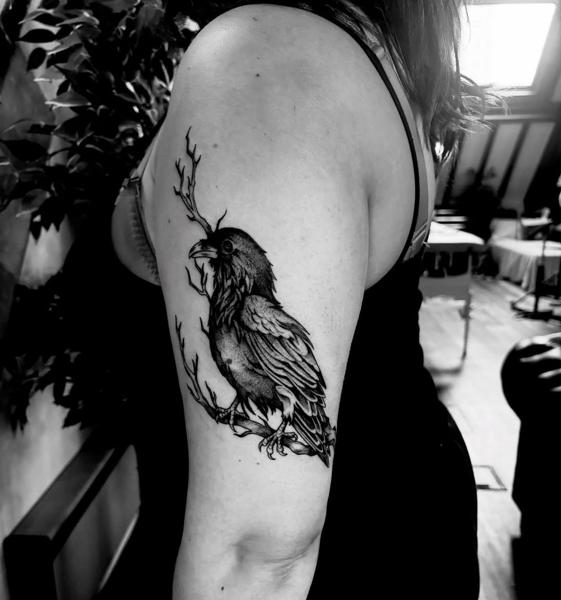 Blackwork raven with branches tattoo by @mariamanzitattoo