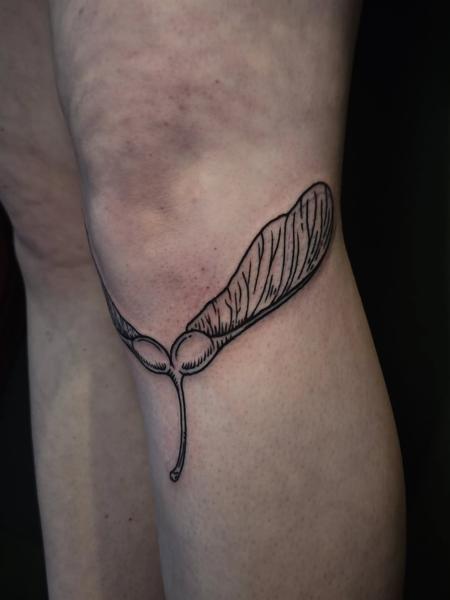 Fine line maple seed tattoo by @marthmallow.tatts
