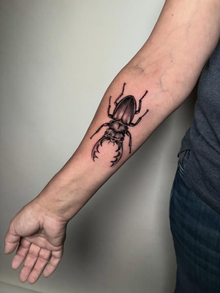 Realism stag beetle tattoo by @mate.arnoth.tattoos