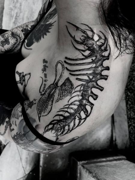 Blackwork crab skeleton tattoo by @matina_macabre_tatt