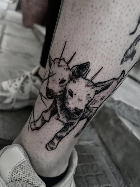 Illustrative two-headed goat tattoo by @matina_macabre_tatt