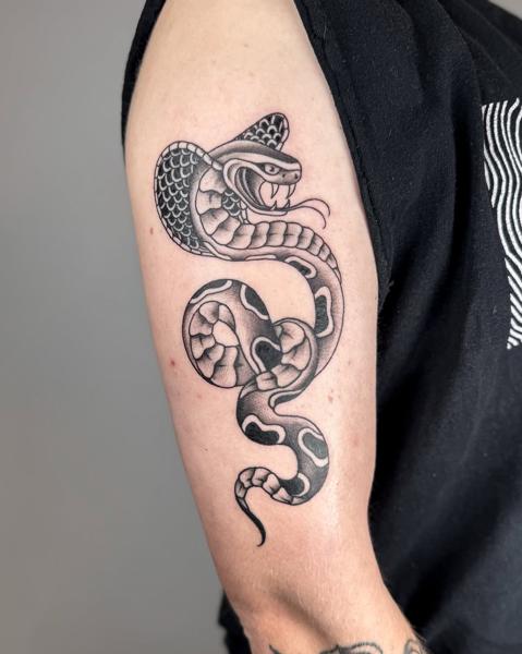 Traditional traditional snake tattoo by @meganbirdtattoo