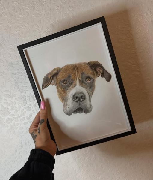 Realism dog portrait tattoo by @megz.ink