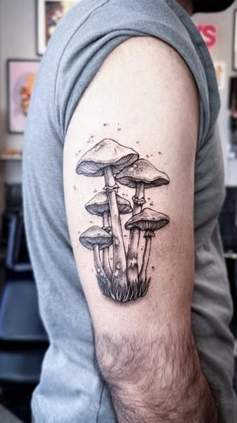 Fine line mushroom cluster tattoo by @miguel.tattooer