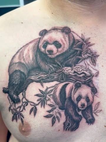 Realism pandas on branch tattoo by @nickfarbeyond