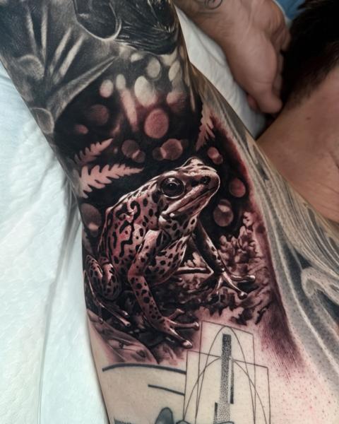 Realism realistic frog tattoo by @littlenicktattoo