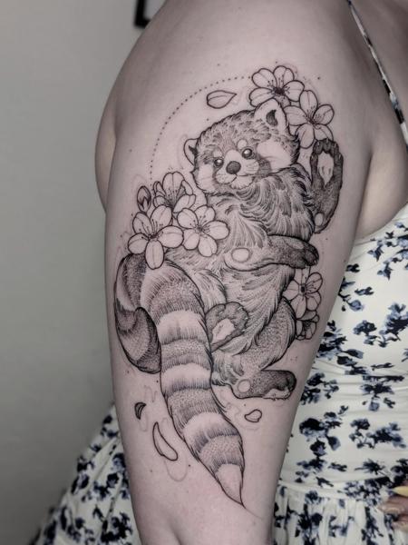 Fine line red panda tattoo by @nox.tattoos