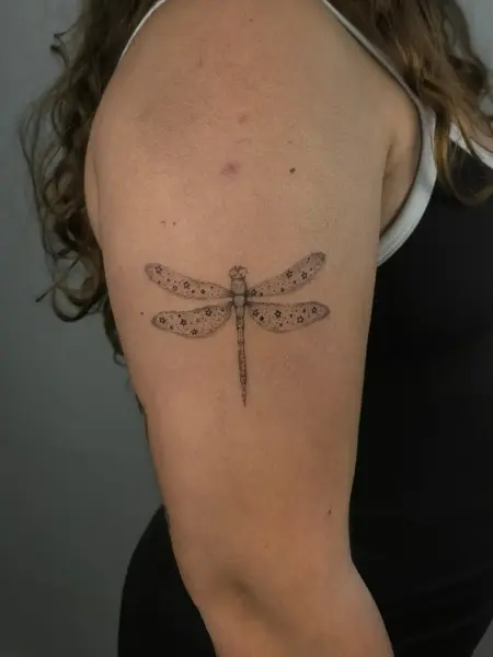 Dotwork dragonfly tattoo by @artbymateospi