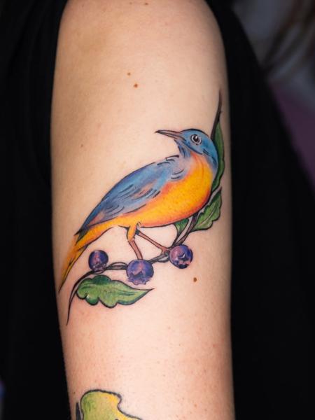 Illustrative colorful bird tattoo by @buggietattoostudio