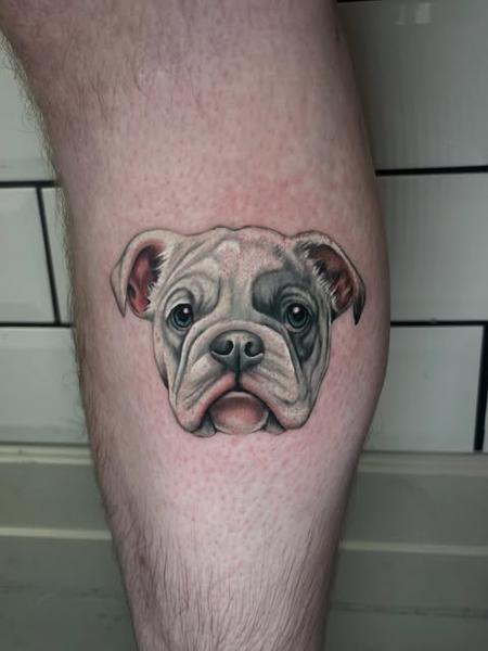 Realism bulldog portrait tattoo by @polishpollytattoo