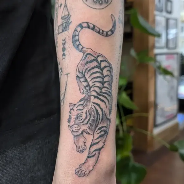 Traditional crouching tiger tattoo by @inkleigh.tattoo