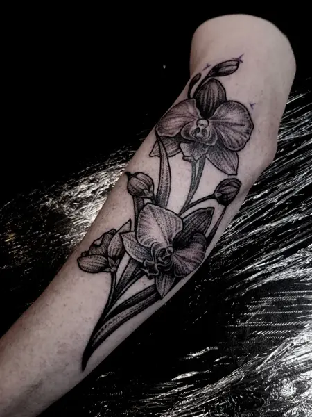 Blackwork orchid flowers tattoo by @bex_hoodless