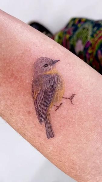 Realism realistic bird tattoo by @tattooist_rimi