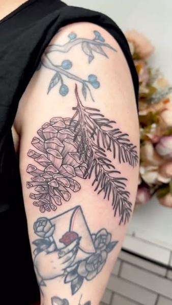 Linework pinecone branch tattoo by @miss.saskiatattoo