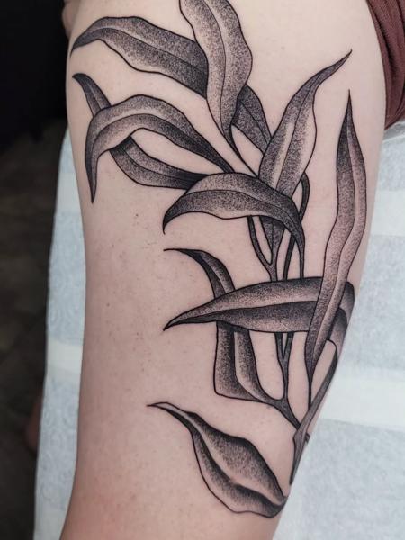 Dotwork botanical leaves tattoo by @sean.dwyer.tattoo