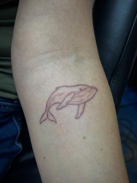 Fine Line whale tattoo by @sidryantattoo