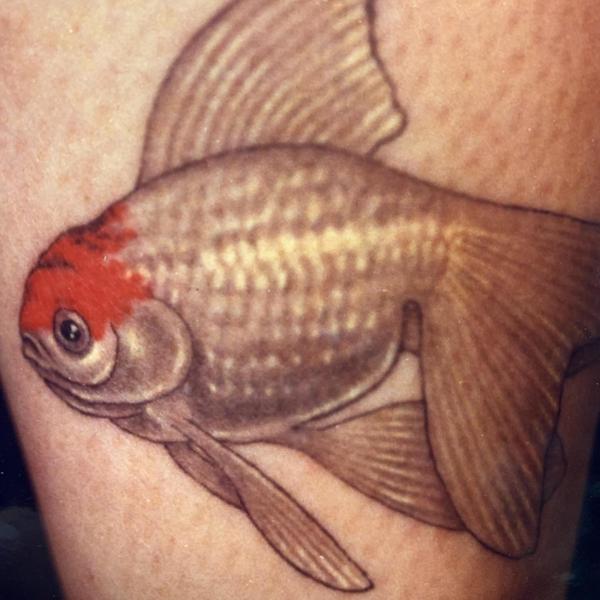 Realism goldfish tattoo by @smallpaultattoo