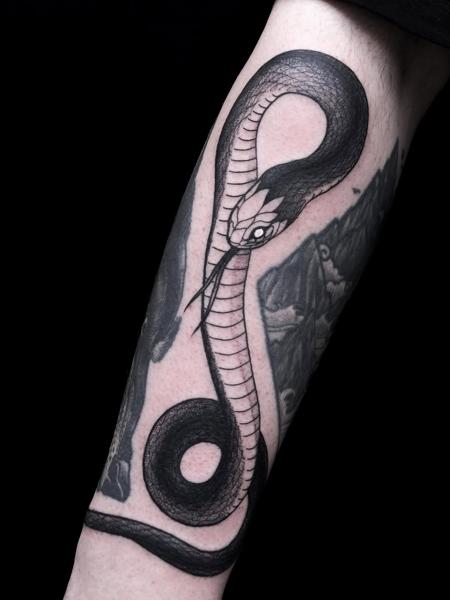 Blackwork snake tattoo by @sophiemoillustration
