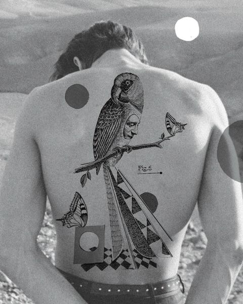 Illustrative surreal bird tattoo by @_avlamis