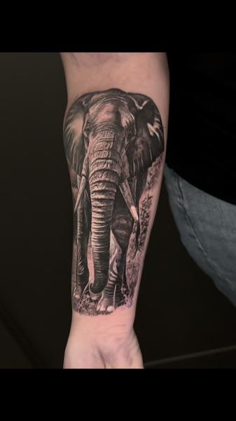 Realism elephant tattoo by @stefan_artofeternity