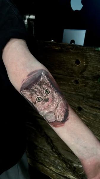 Realism realistic kitten tattoo by @stefan.catalin.druga
