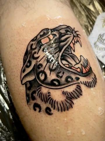 Traditional roaring leopard tattoo by @curwen_tattoo