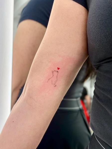 Fine line cat outline tattoo by @talbooker