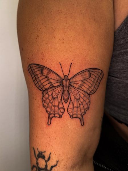 Fine Line moth tattoo by @total_eclipse_tattoo