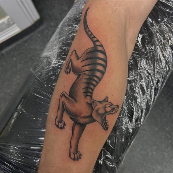 Traditional tasmanian tiger tattoo by @trav.tatts