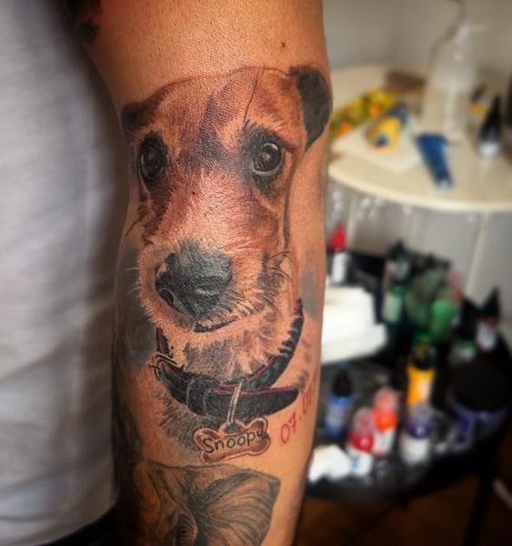 Realism dog portrait tattoo by @venceslau.santos