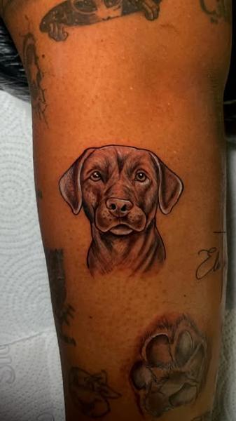 Realism dog portrait tattoo by @wagnervibes_tattoo